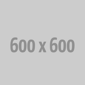 Sony WH-1000XM4 Wireless Headphones